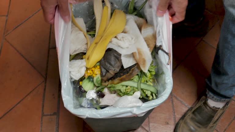 Best Construction Debris Removal  in Albert Lea, MN