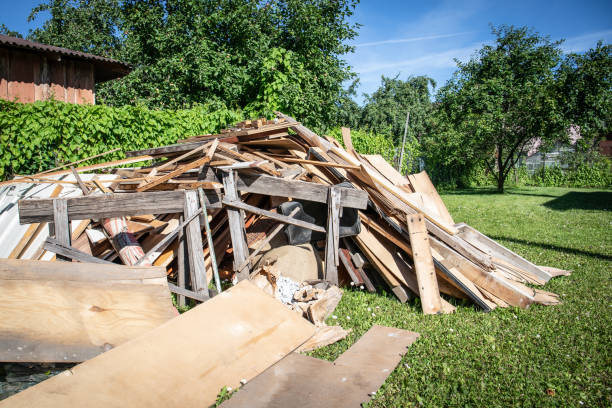 Best Shed Removal  in Albert Lea, MN