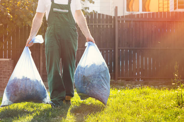  Albert Lea, MN Junk Removal Services Pros